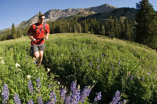 Matt Rink trail running in Albion Basin. Wasatch Mountains, Utah.
