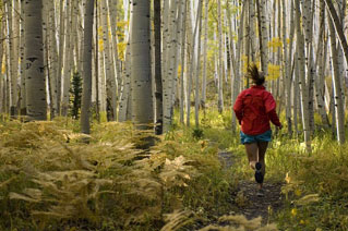 Elizabeth Faucher trail running on the Beaver Ponds Trail. West Elk Mountains, Colorado.